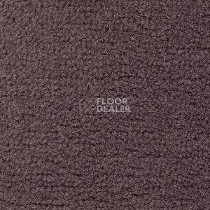 Ковролин Radici Forum Ardesia 2103 фото 1 | FLOORDEALER